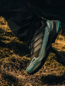 adidas Terrex adidas Terrex Skychaser AX5 GORE-TEX Hiking Trainers^ Sneakers