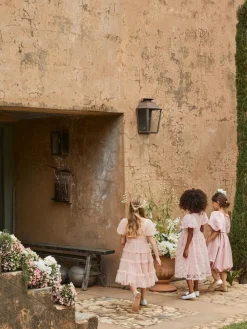 Angel & Rocket Pink Clara Pleated Mesh Corsage Dress^ Occasionwear