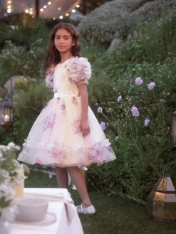 Angel & Rocket Florence Blush Ruffle Sleeve Mesh Dress^ Occasionwear