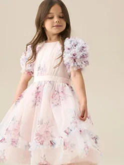 Angel & Rocket Florence Blush Ruffle Sleeve Mesh Dress^ Occasionwear