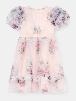 Angel & Rocket Florence Blush Ruffle Sleeve Mesh Dress^ Occasionwear