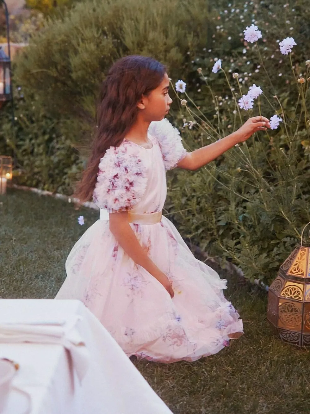 Angel & Rocket Florence Blush Ruffle Sleeve Mesh Dress^ Occasionwear