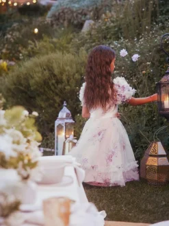 Angel & Rocket Florence Blush Ruffle Sleeve Mesh Dress^ Occasionwear