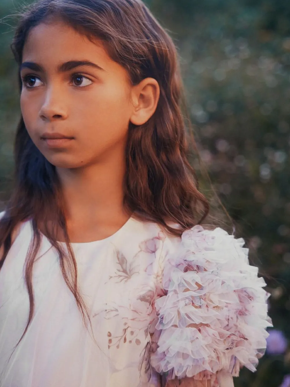 Angel & Rocket Florence Blush Ruffle Sleeve Mesh Dress^ Occasionwear