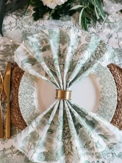 Avalon Home Set of 2 Green Lake District Toile Napkins^ Table Linen, Placemats & Coasters