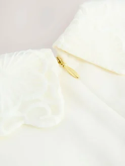 Best Baker by Ted Baker Lace Collared Ponte Dress Cream