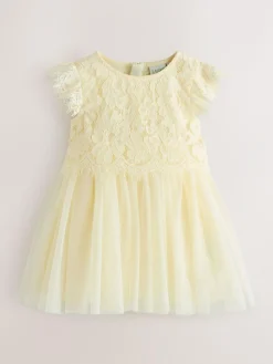 Baker by Ted Baker Lace Mesh Dress^ Occasionwear