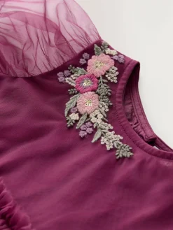 Next Berry Red Embroidered Mesh Party Dress (3mths-8yrs)^ Dresses|Dresses