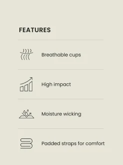 Next B-G Active Sports High Impact Dry Tech Full Cup Wired Bra^Women Bras|Dd+ Range