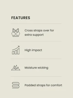 Next B-G Active Sports High Impact Dry Tech Non Pad Bra^Women Bras|Dd+ Range