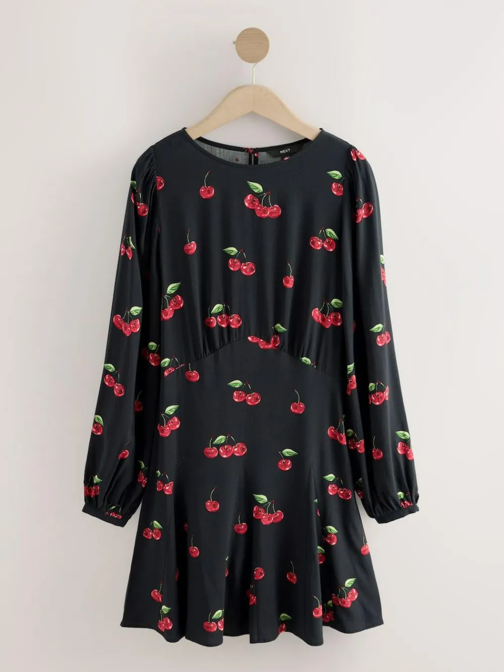 Online Next Black Cherry Print Mini Long Sleeve A-Line Seam Detail Dress