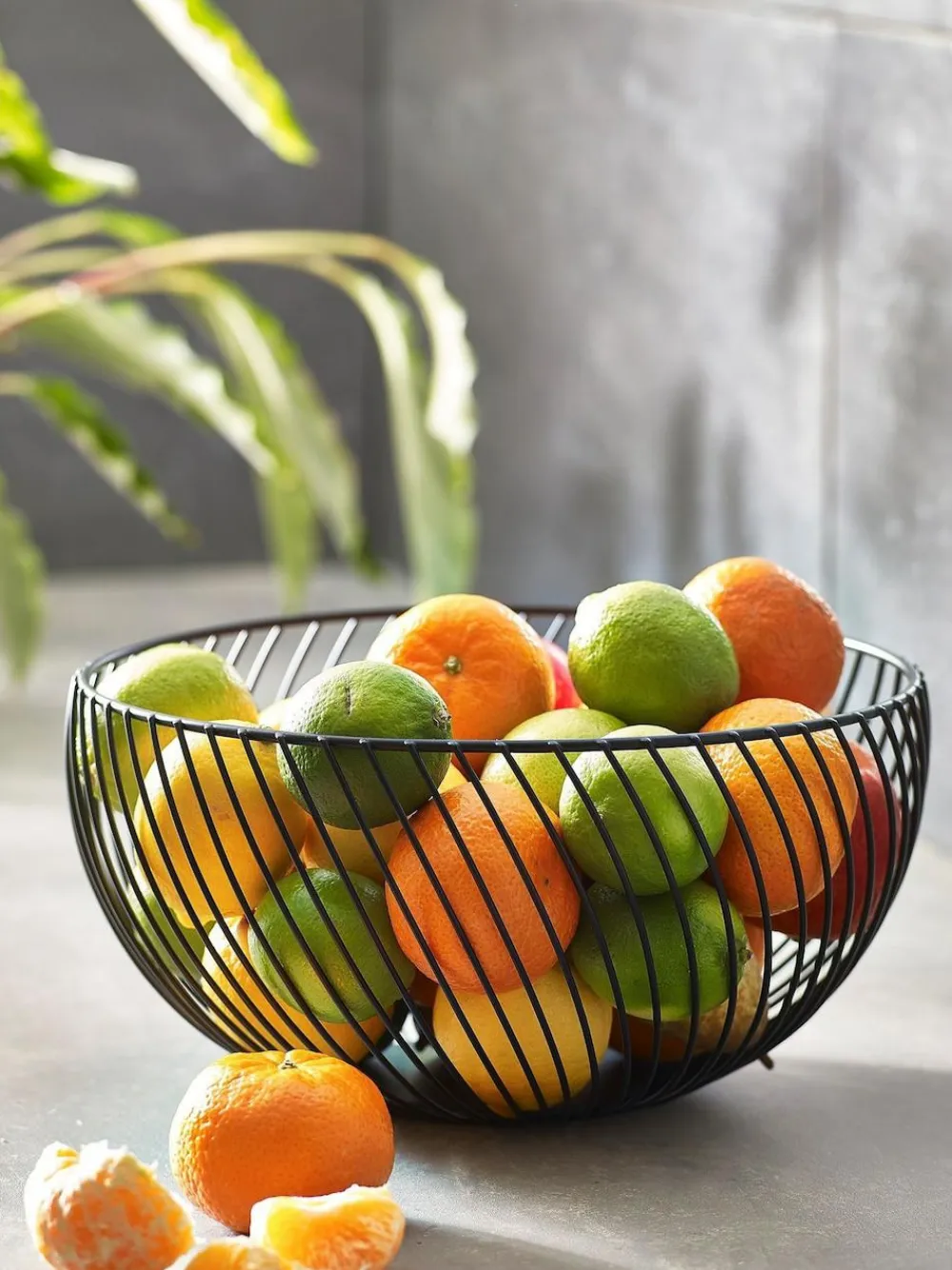 New Next Moderna Wire Fruit Bowl Black