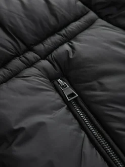 Next Black Short Padded Coat with Faux Fur Trim Hood and Cuffs^Women Coats & Jackets|Coats & Jackets