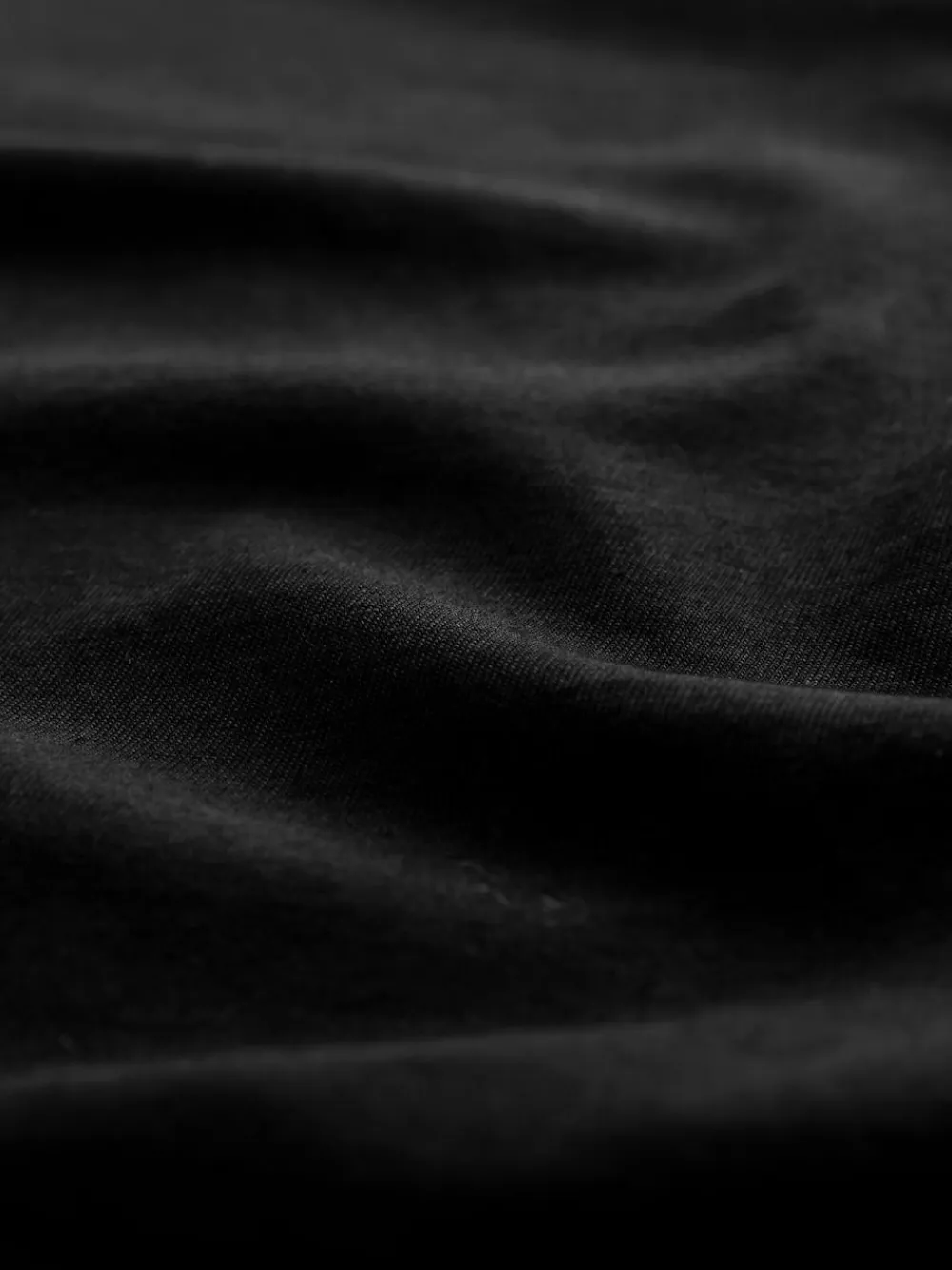 Next Signature SUPIMA® Cotton Long Sleeve Roll Neck T-Shirt Black