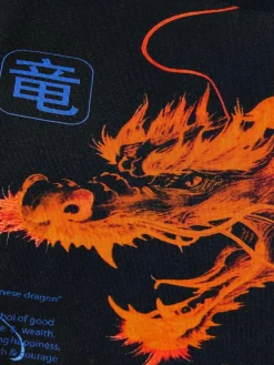 Next Black/Orange Dragon Regular Fit Short Sleeve All-Over Print T-Shirt (3-16yrs)^BOY Tops|T-Shirts