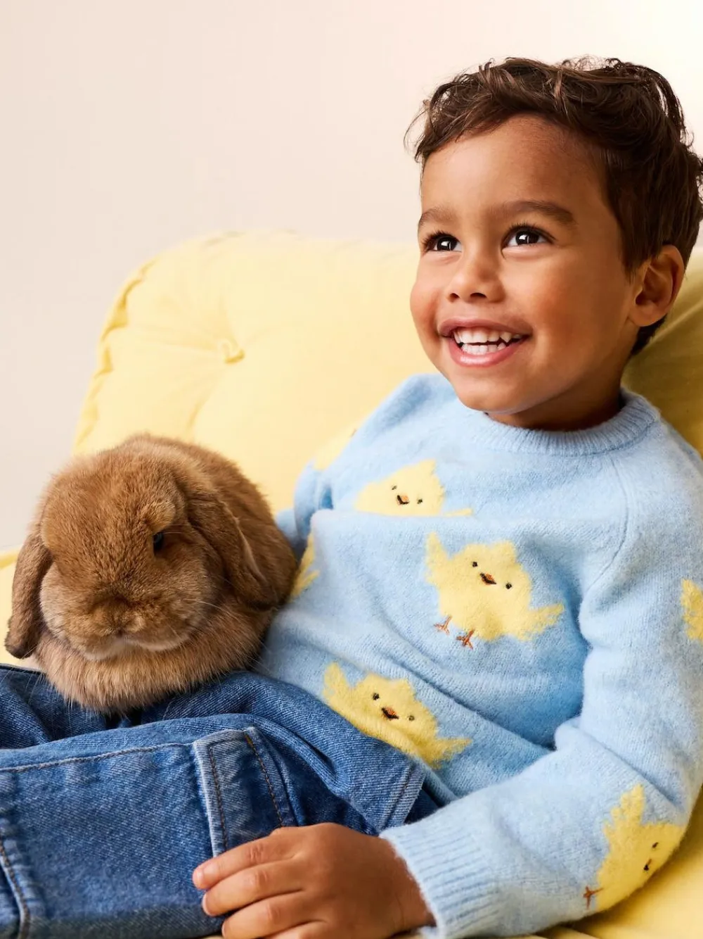 Next Knitted Crew Neck Jumper (3mths-7yrs)^BOY Knitwear|Knitwear