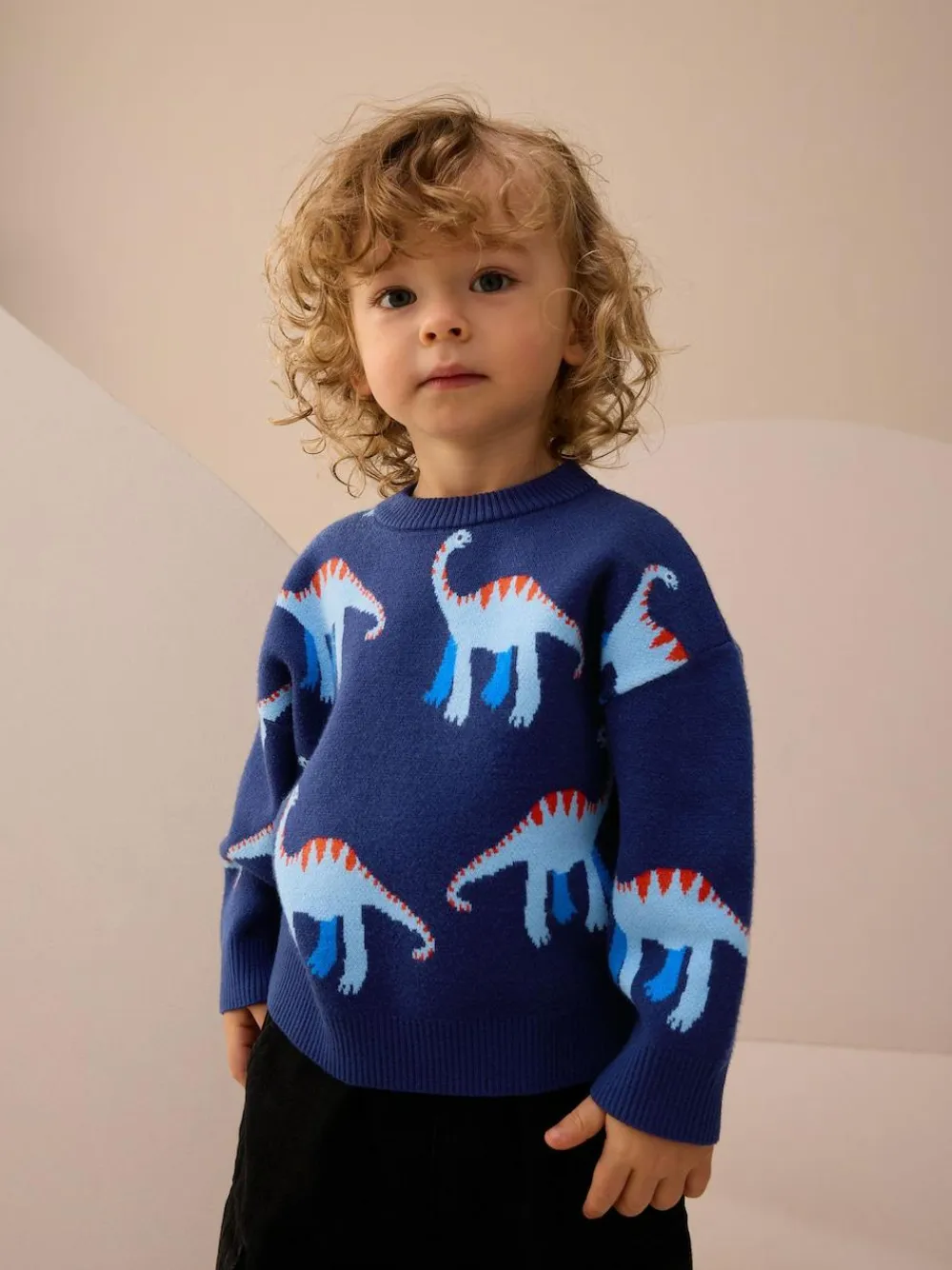 Next Blue Dinosaur Knitted Crew Neck Jumper (3mths-7yrs)