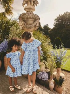 Sale Next Angel Sleeve Dress (3mths-8yrs) Blue Floral