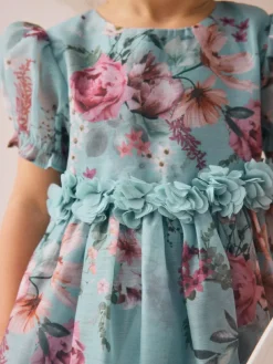 Next Flower Corsage Dress (3mths-8yrs)^ Dresses|Occasionwear