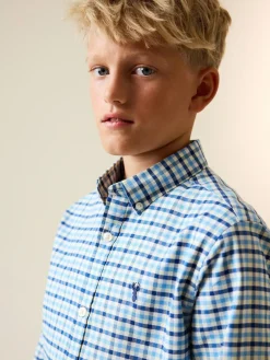 Online Next Blue Gingham Single Oxford Shirt (3-16yrs)