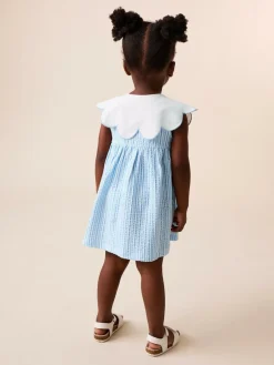 Next Collared Summer Dress (3mths-7yrs) Blue Striped