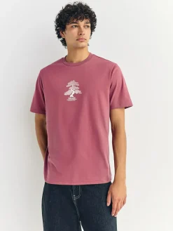 Next Blue/Green/Pink Regular Fit Graphic Print T-Shirts 3 Pack^ Tops & T-Shirts