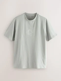 Next Blue/Green/Pink Regular Fit Graphic Print T-Shirts 3 Pack^ Tops & T-Shirts