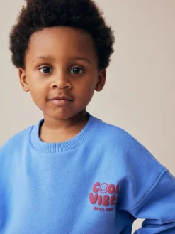 Outlet Next Blue/Grey Single Sweatshirt And Stripe Joggers Set (3mths-7yrs)