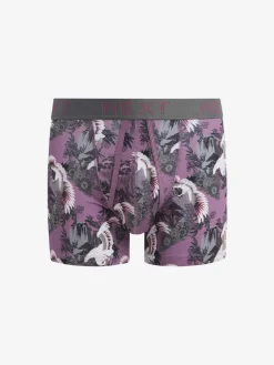 Next Animal A-Front Boxers 4 Pack^ Underwear|Underwear
