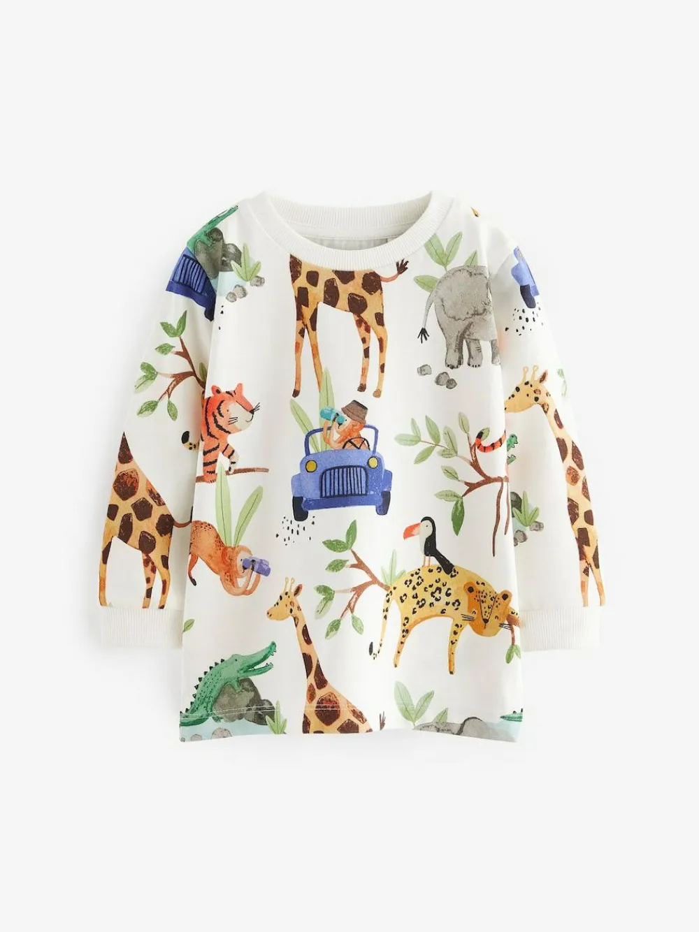 Next Long Sleeve Animal Print Character T-Shirts 3 Pack (3mths-7yrs)^BOY Newborn Clothing|Tops