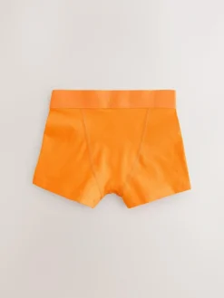 Clearance Next Bright Plain Trunks 10 Pack (1.5-16yrs)