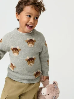 Clearance Next Knitted Crew Neck Jumper (3mths-7yrs) Brown Hamish