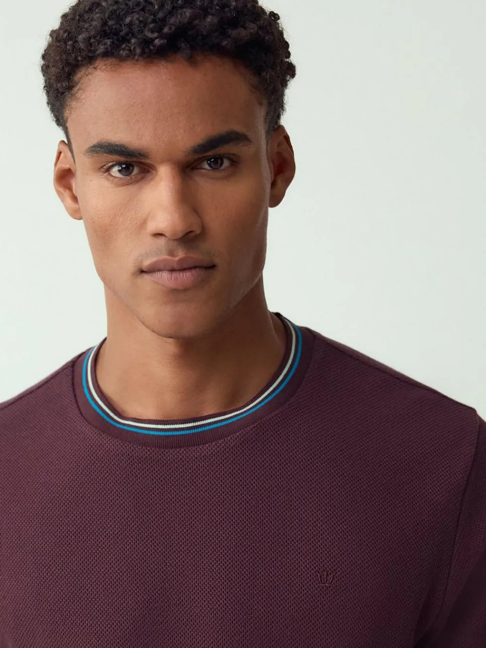 Next Regular Fit & 100% Cotton Textured Tipped T-Shirt^ Tops & T-Shirts