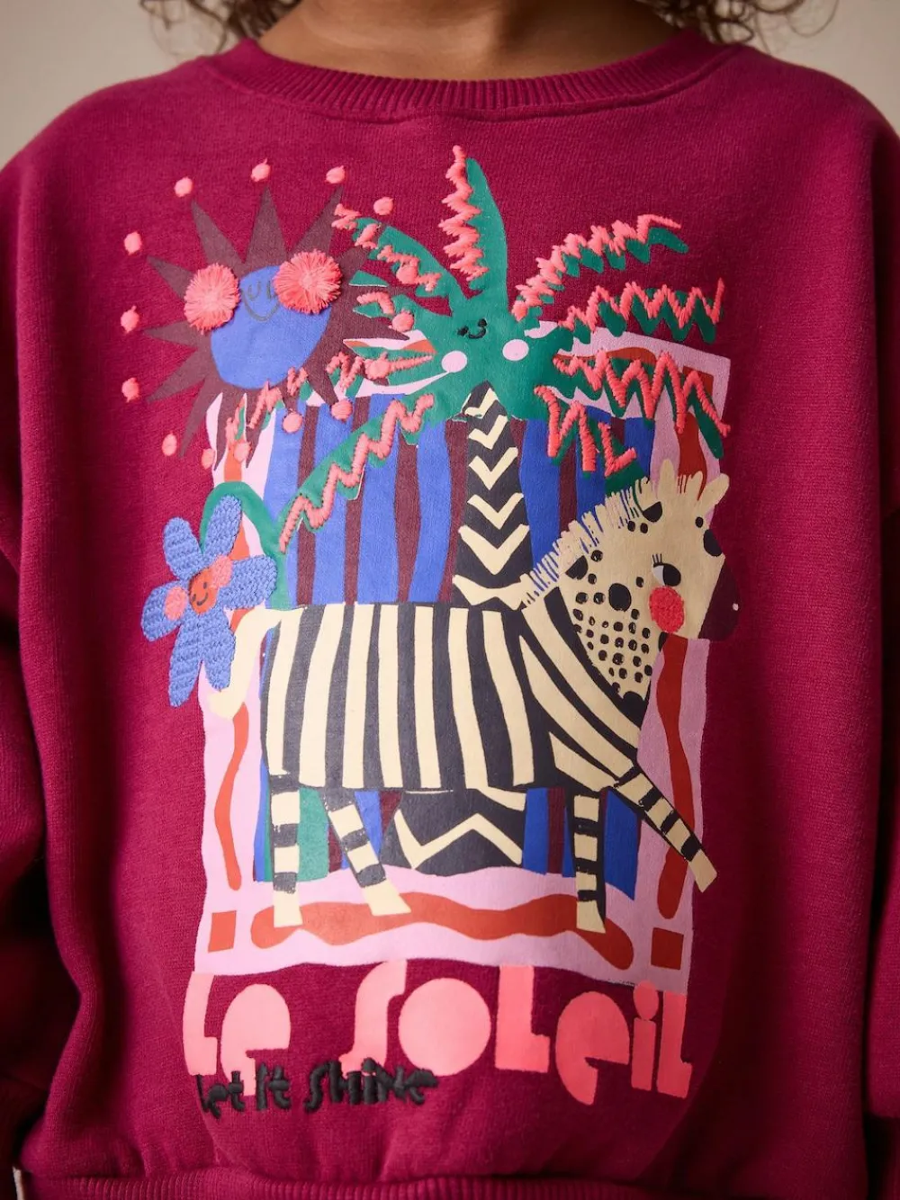 Outlet Next Burgundy Red Zebra Crew Neck Sweatshirt (3mths-7yrs)