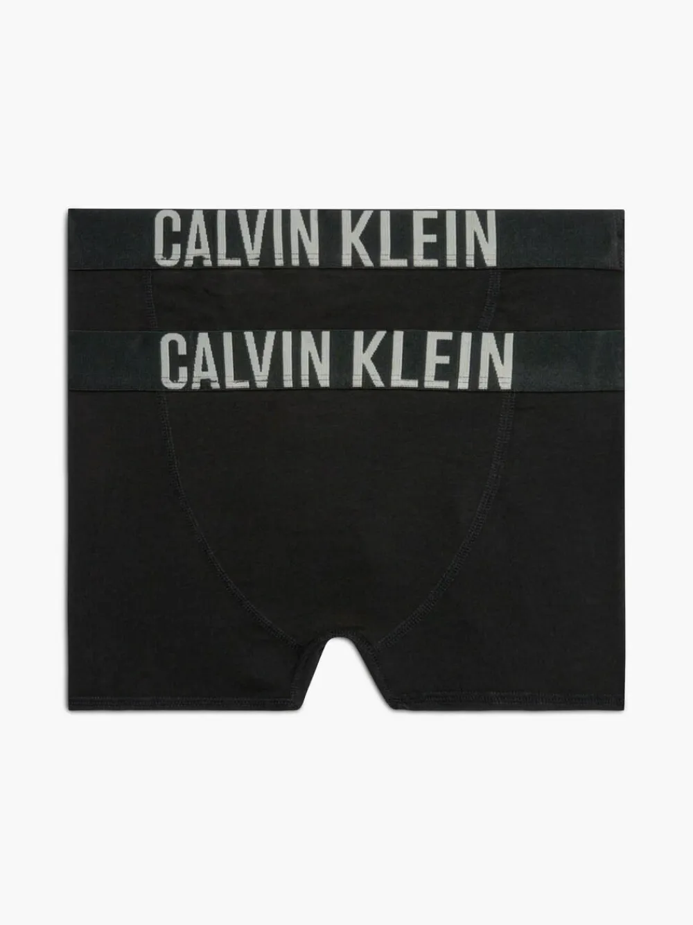 Calvin Klein Intense Power Boys Trunks 2 Pack^BOY Underwear