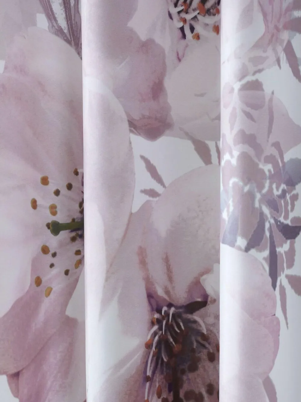 New Catherine Lansfield Pink Dramatic Floral Shower Curtains