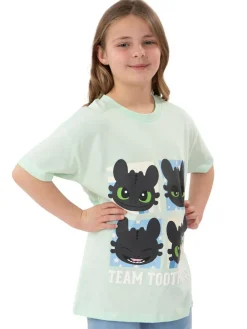 Character Green How To Train Your Dragon Toothless T-Shirt^ T-Shirts