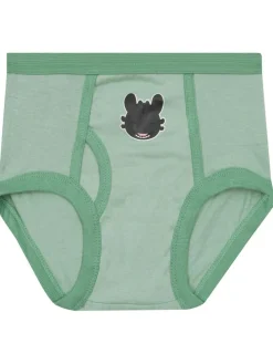 New Character Green How To Train Your Dragon Boys underwear (5 Pack)