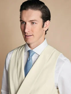 Charles Tyrwhitt Adjustable Fit Morning V2 Suit: Waistcoat^ Vests