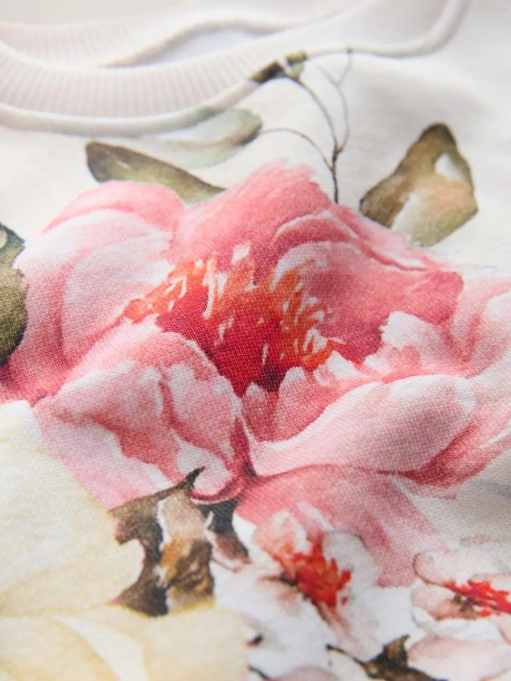 Clearance Next Cream Floral Crew Neck Sweatshirt (3mths-7yrs)