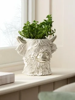 Sale Next Cream/Gold Hamish The Highland Cow Head Vase