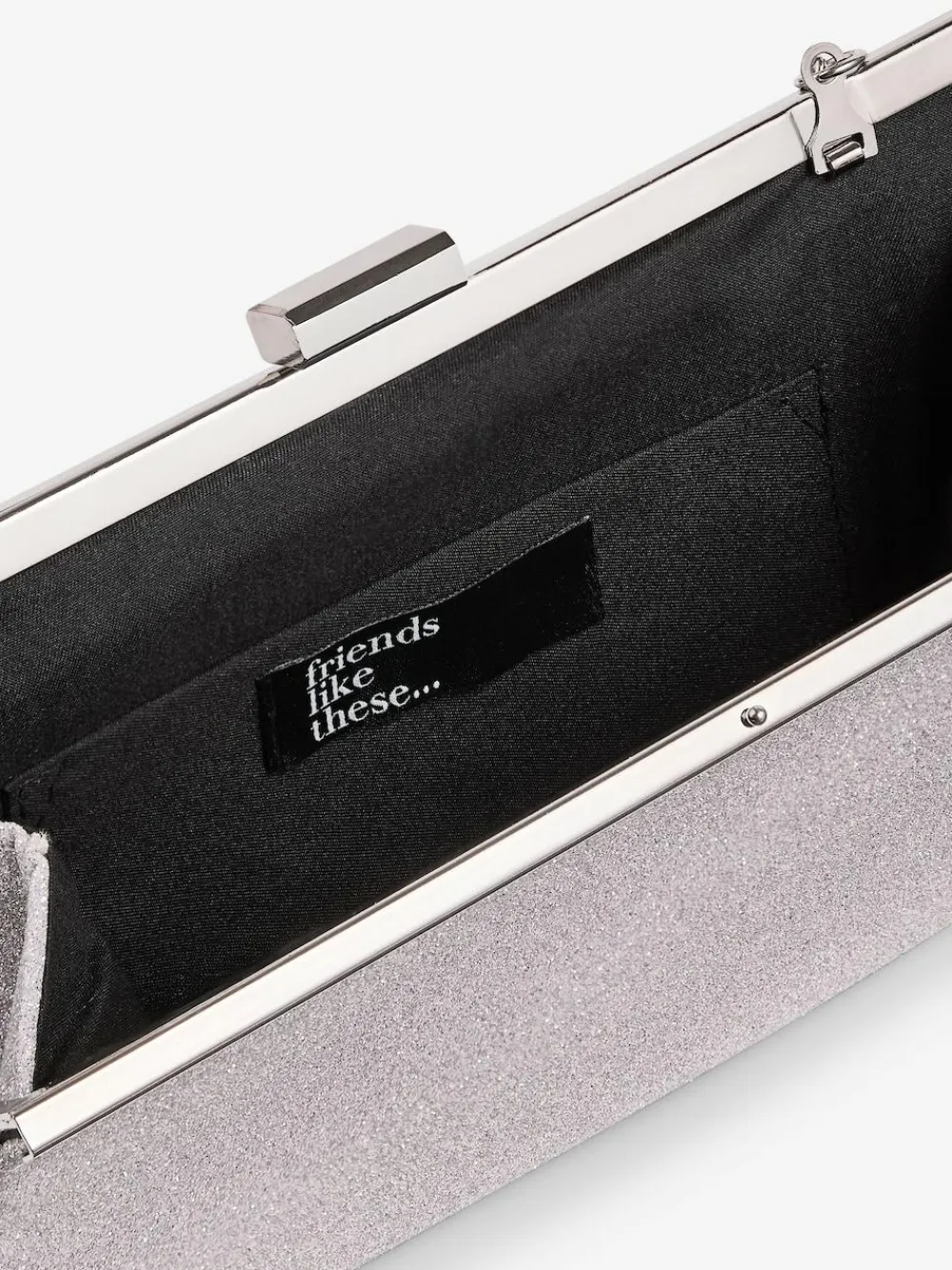 Best Friends Like These Silver Occasion Clutch Bag