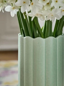 Next Green Ceramic Scallop Detail Small Vase^ Vases