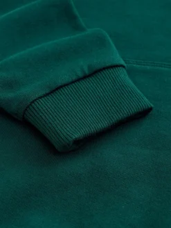 Sale Next Colourblock Hoodie (3-16yrs) Green