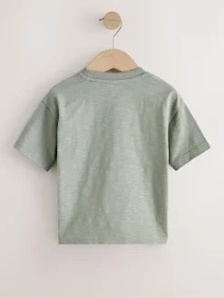New Next Green Giraffe Short Sleeve Appliqué T-Shirt (3mths-7yrs)