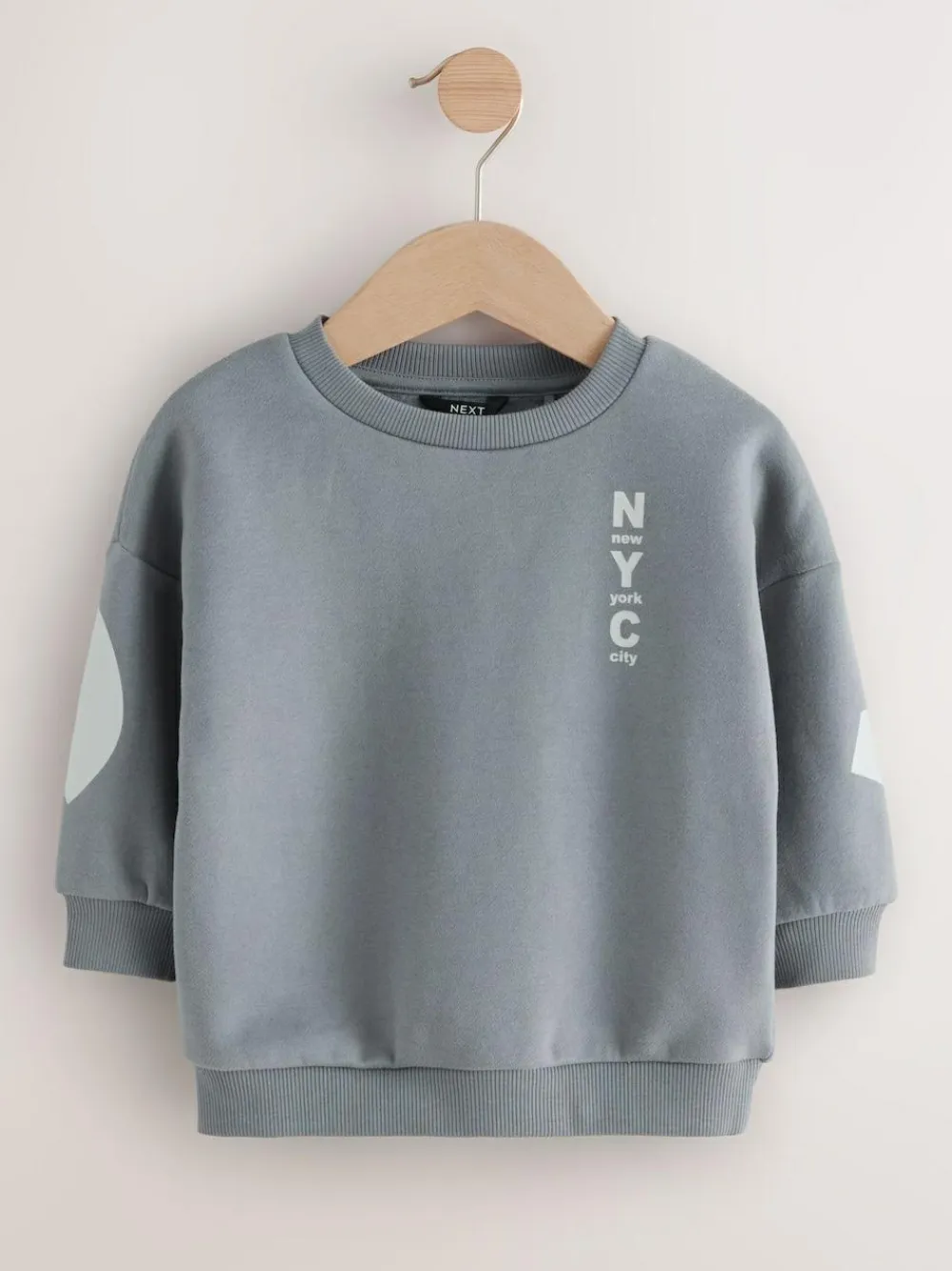 Next Grey Back Printed Crew Neck Jersey Sweatshirt (3mths-7yrs)