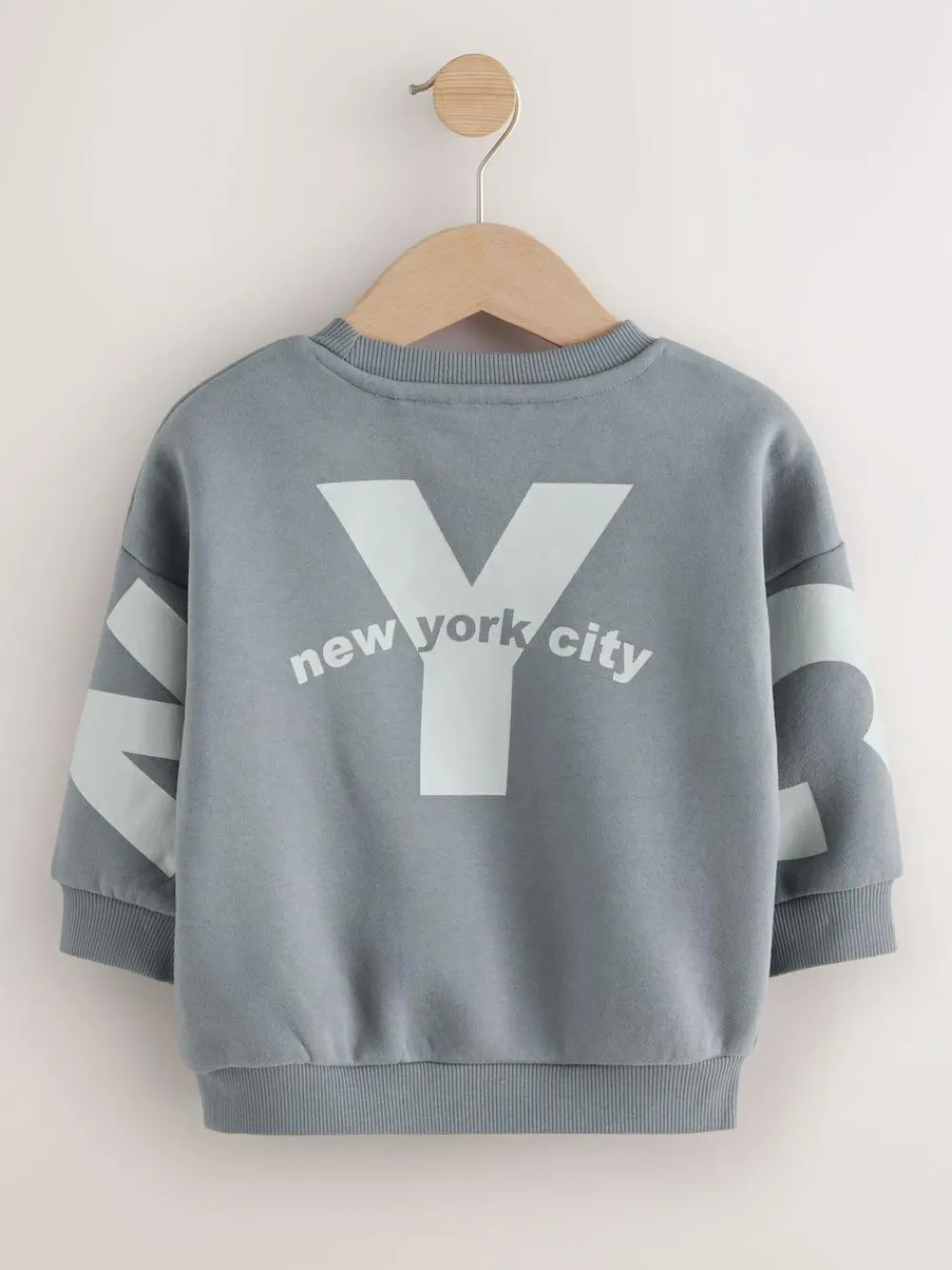 Next Grey Back Printed Crew Neck Jersey Sweatshirt (3mths-7yrs)