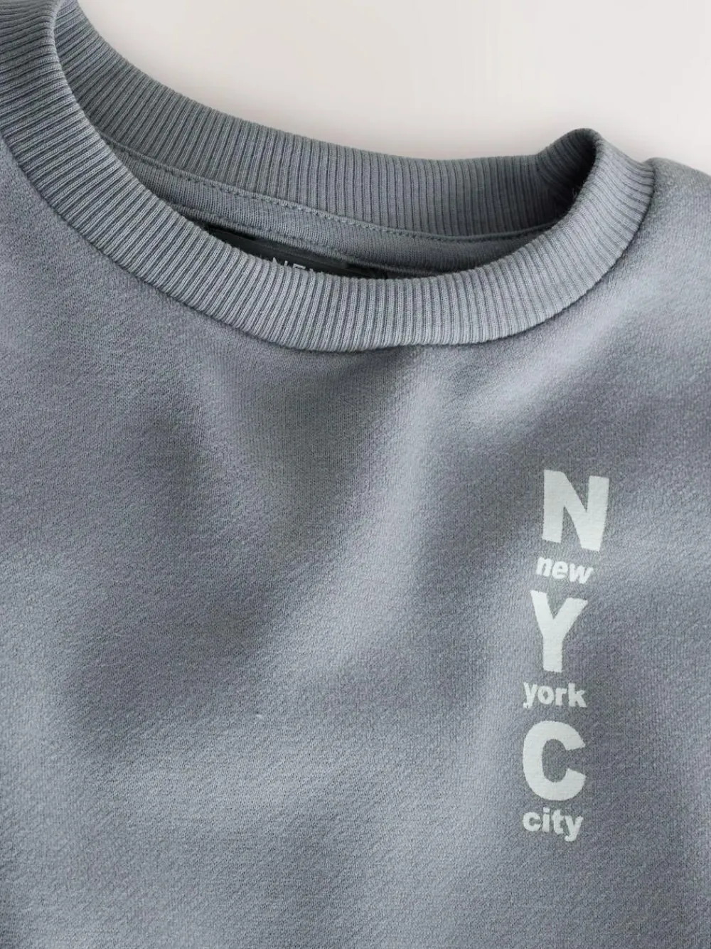 Next Grey Back Printed Crew Neck Jersey Sweatshirt (3mths-7yrs)