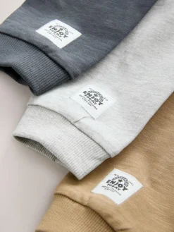 Outlet Next Grey Long Sleeve Raglan T-Shirts 3 Pack (3mths-7yrs)