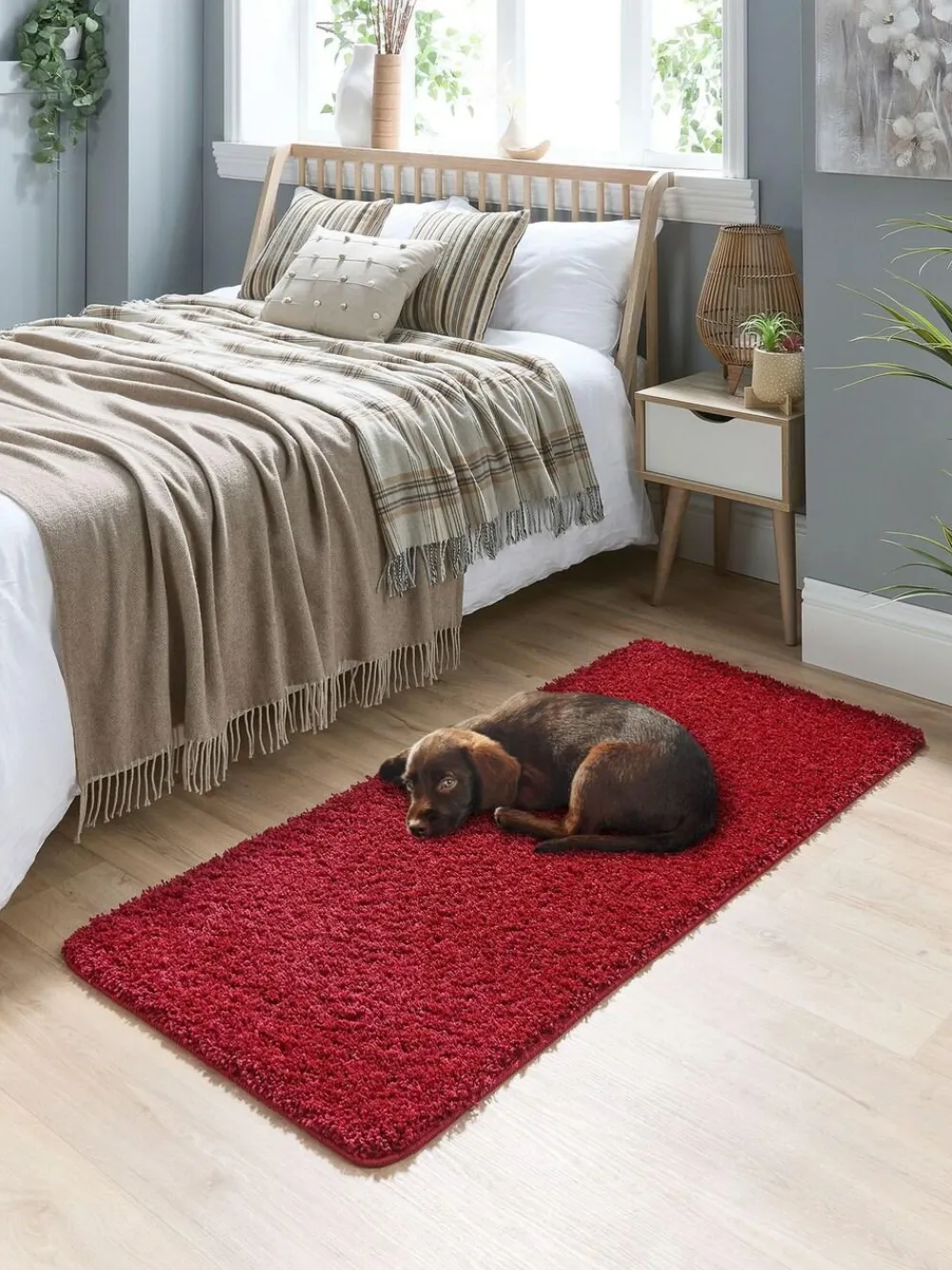 Howler & Scratch Red Shaggy Pet Runner^ Rugs & Runners